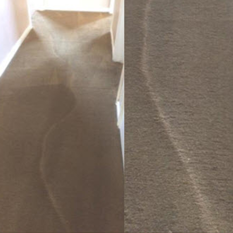 Carpet Traffic and Wear Patterns
